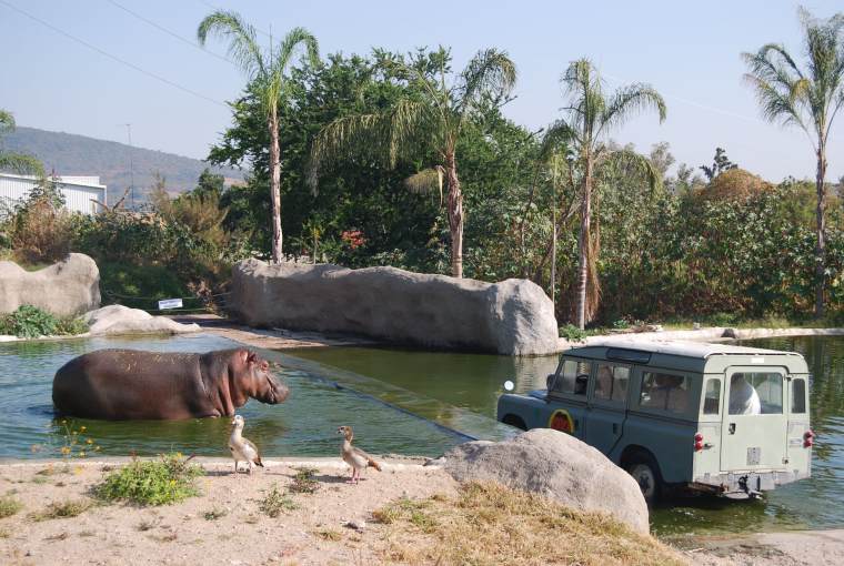 zoo de guadalajara