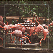 Zoo Guadalajara