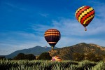 Hot air balloon ride over tequila agave fields